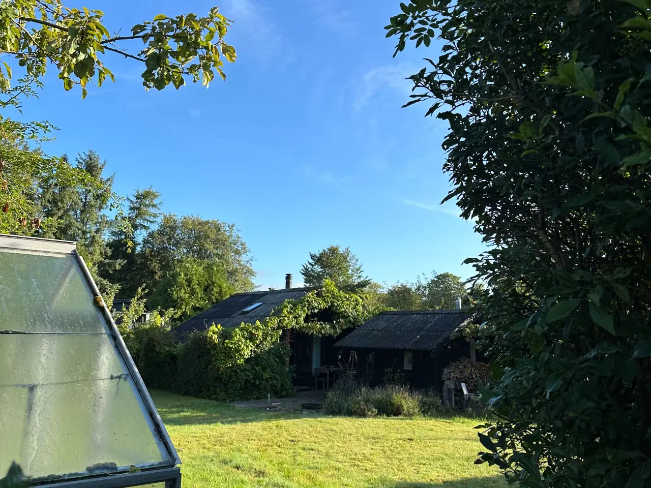 Billede 6 - Skøn kolonihave med fantastisk beliggenhed 