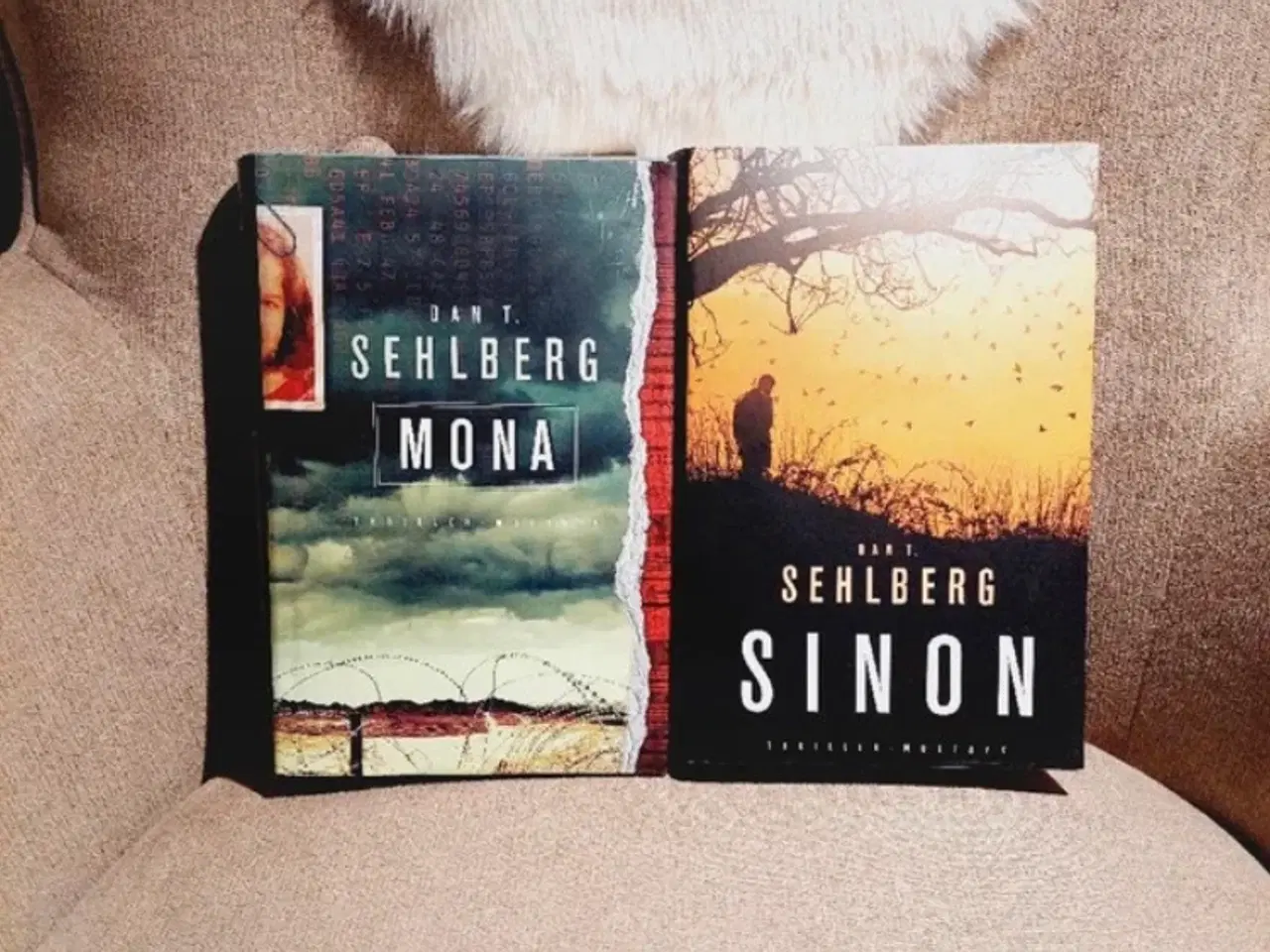 Billede 1 - Mona og Sinon af Dan T. Sehlberg