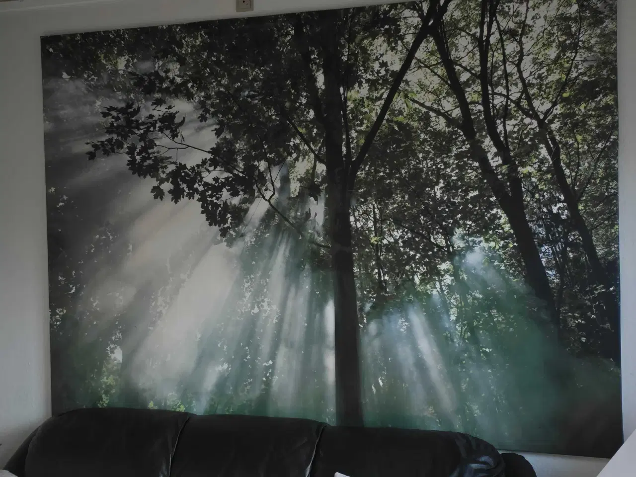 Billede 2 - Rigtig flot Skov Billed på Lærred 