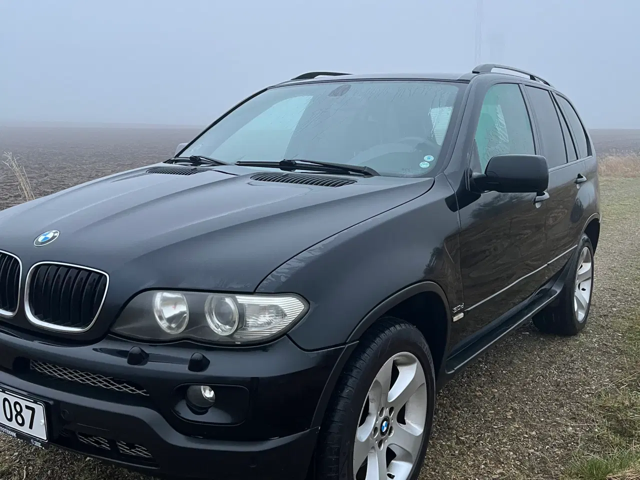 Billede 1 - BMW X5 3,0d Van 