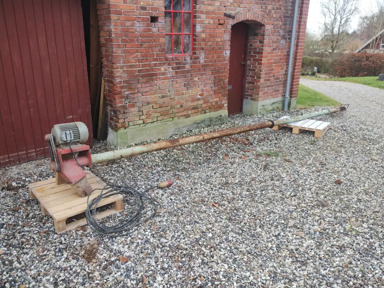 Billede 2 - Gedigen kornsnegl