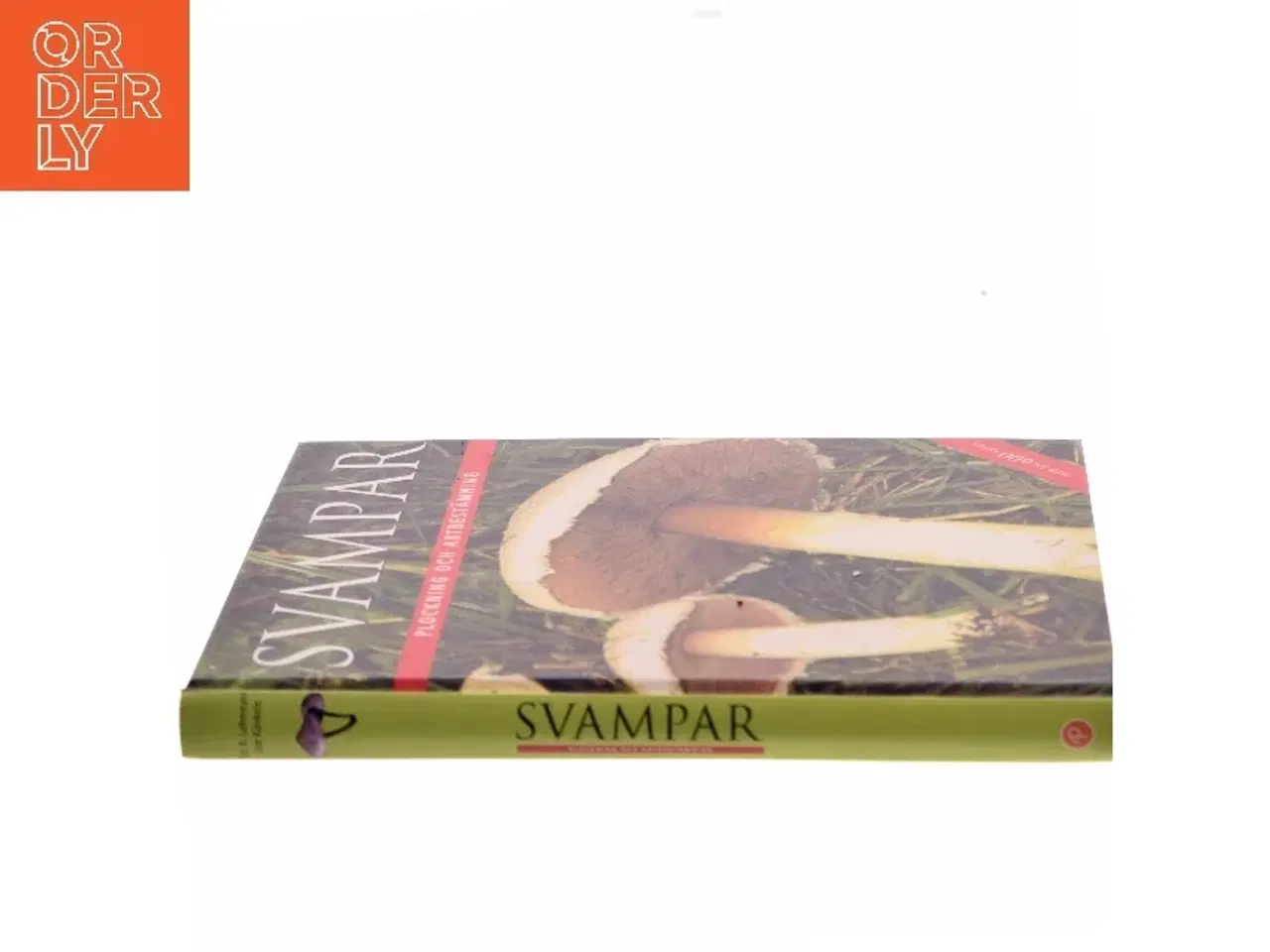 Billede 2 - Svampar af Rebo Publishers (Bog)