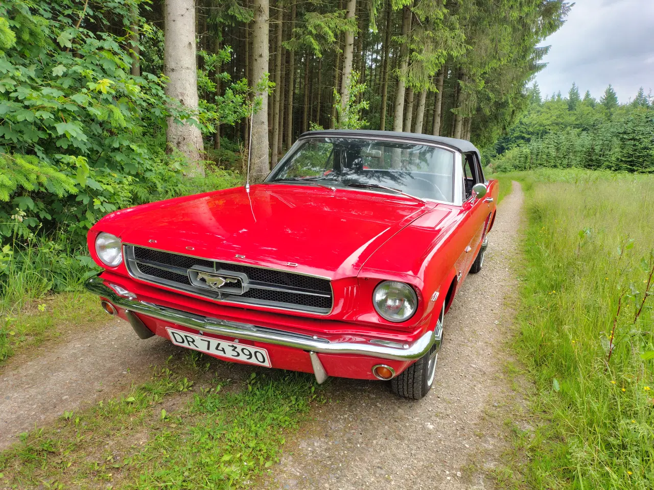 Billede 4 - 1965 Ford Mustang Cabriolet – Klassisk Amerikansk 