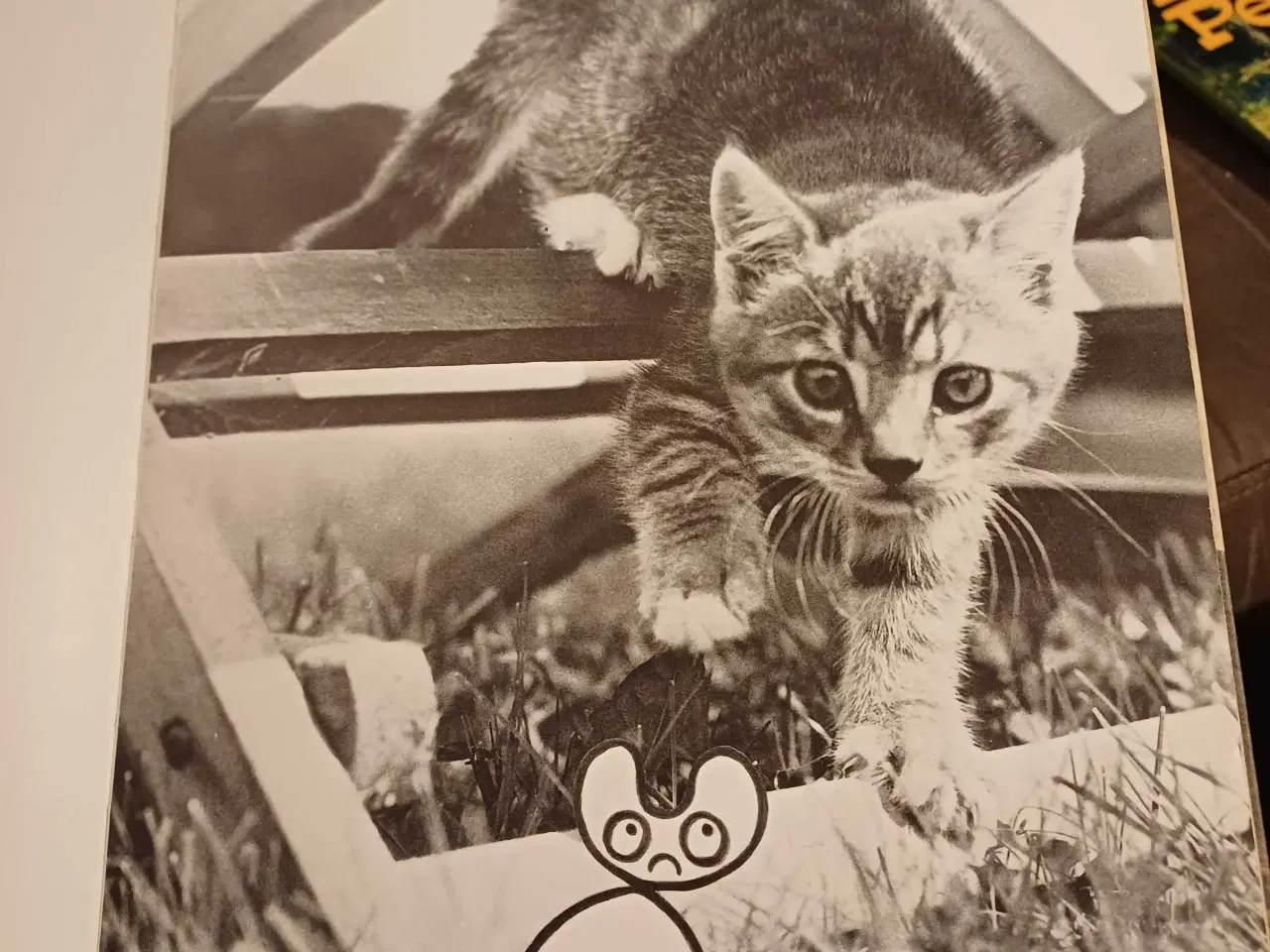 Billede 9 - 4 forskellige ældre børne bøger 