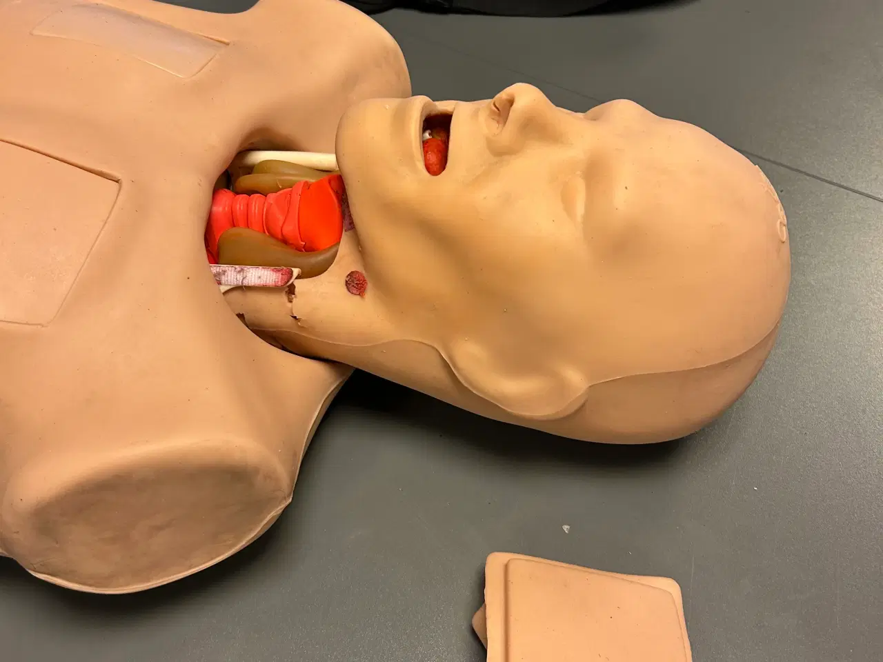 Billede 2 - TruCorp TruMan Trauma Simulator