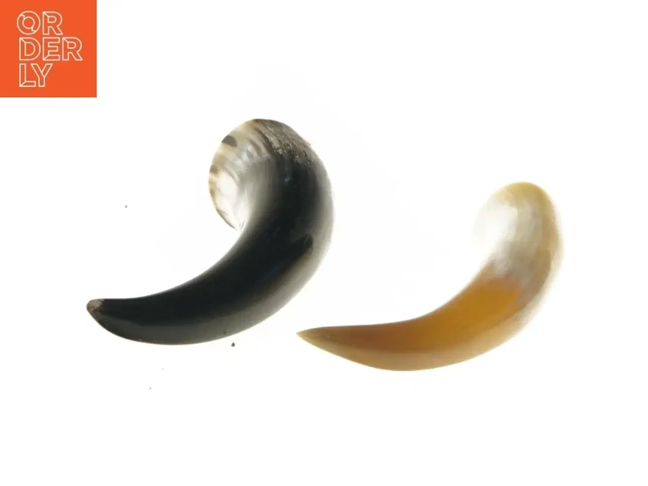 Billede 2 - Dekorative horn (str. 23&22 cm)
