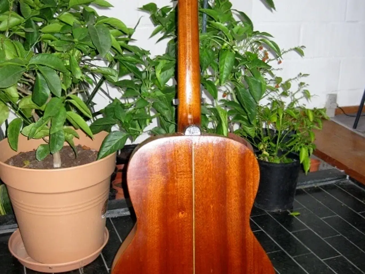 Billede 2 - Håndbygget klassisk guitar