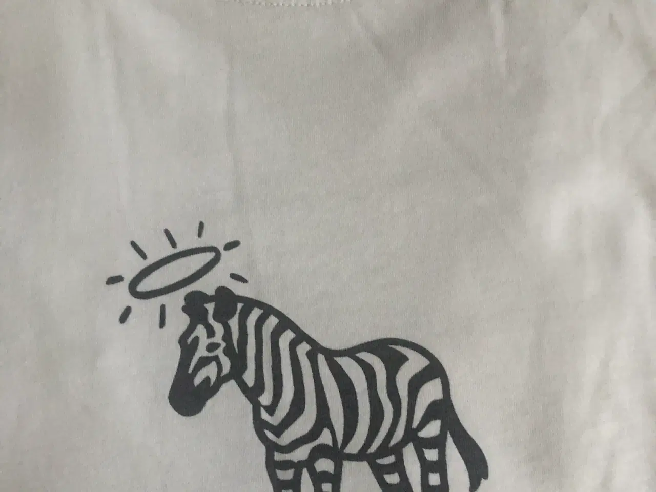 Billede 9 - Str. Small - T-shirts Mærke: Paul Smidt