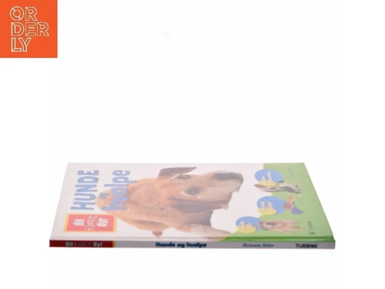 Billede 2 - Hunde og hvalpe af Michaela Miller (Bog)