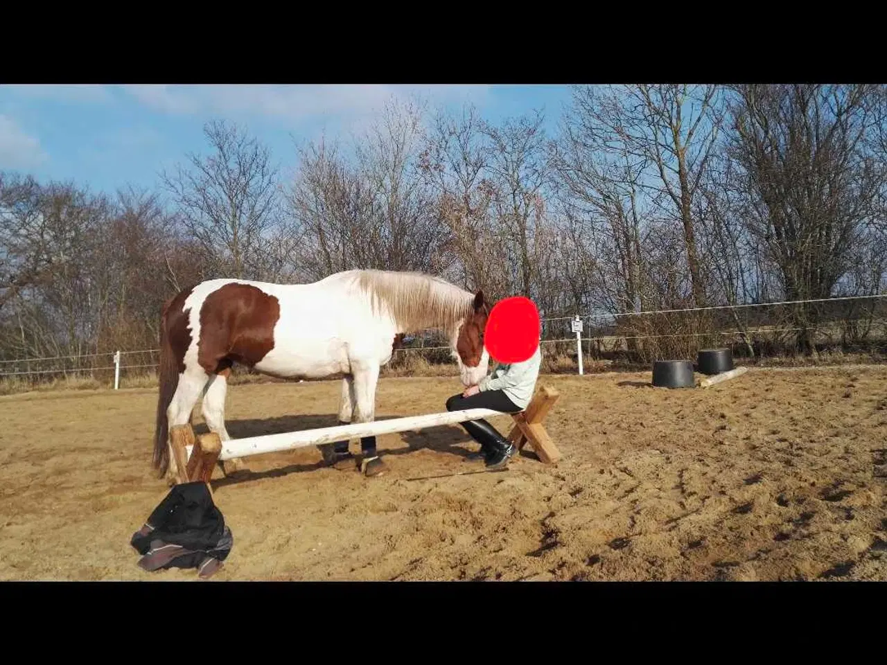 Billede 3 - Pony