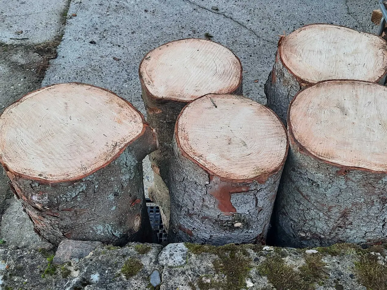 Billede 2 - Søm blokke