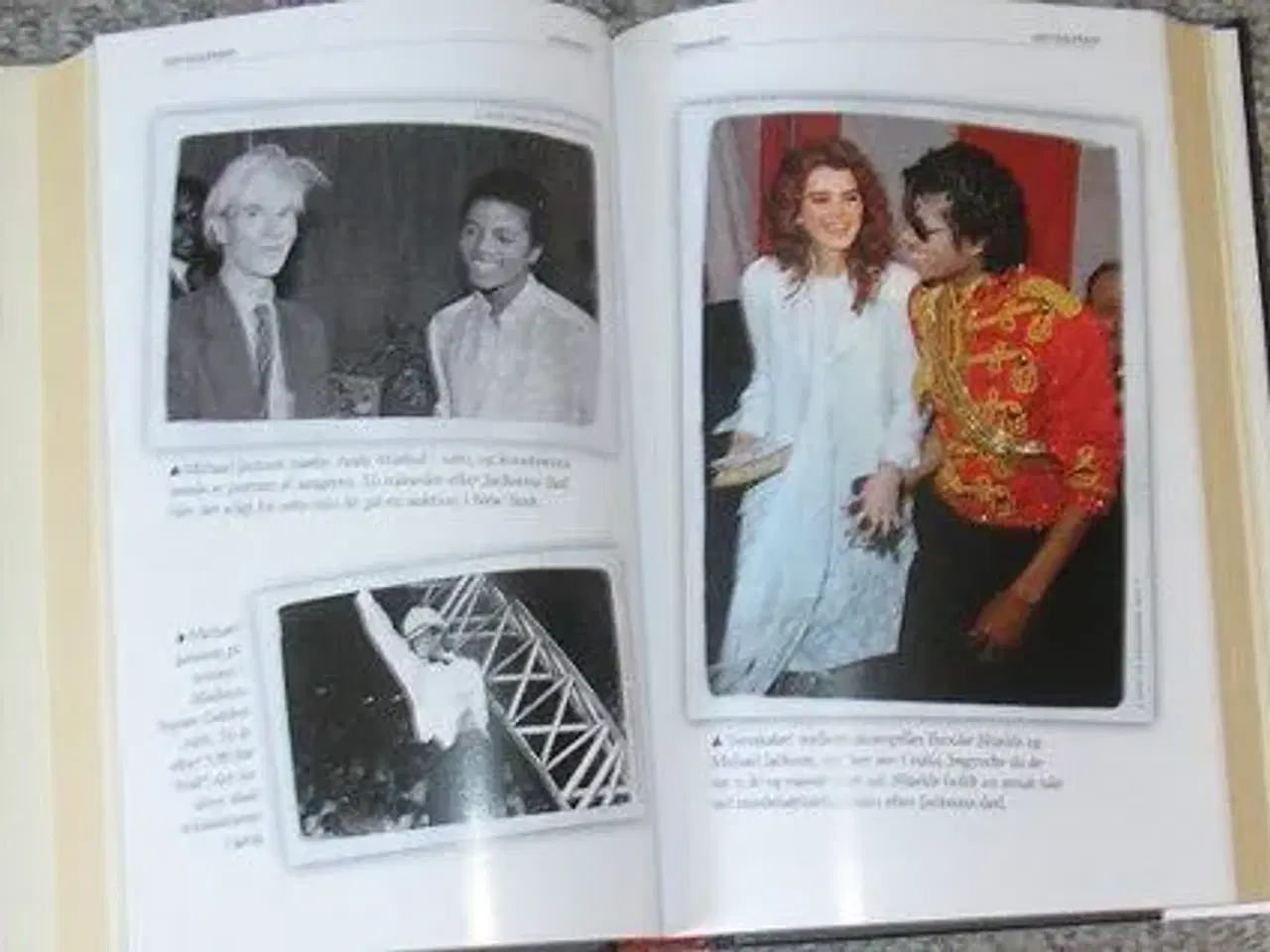Billede 2 - bog om Michael Jackson, hans liv og død-