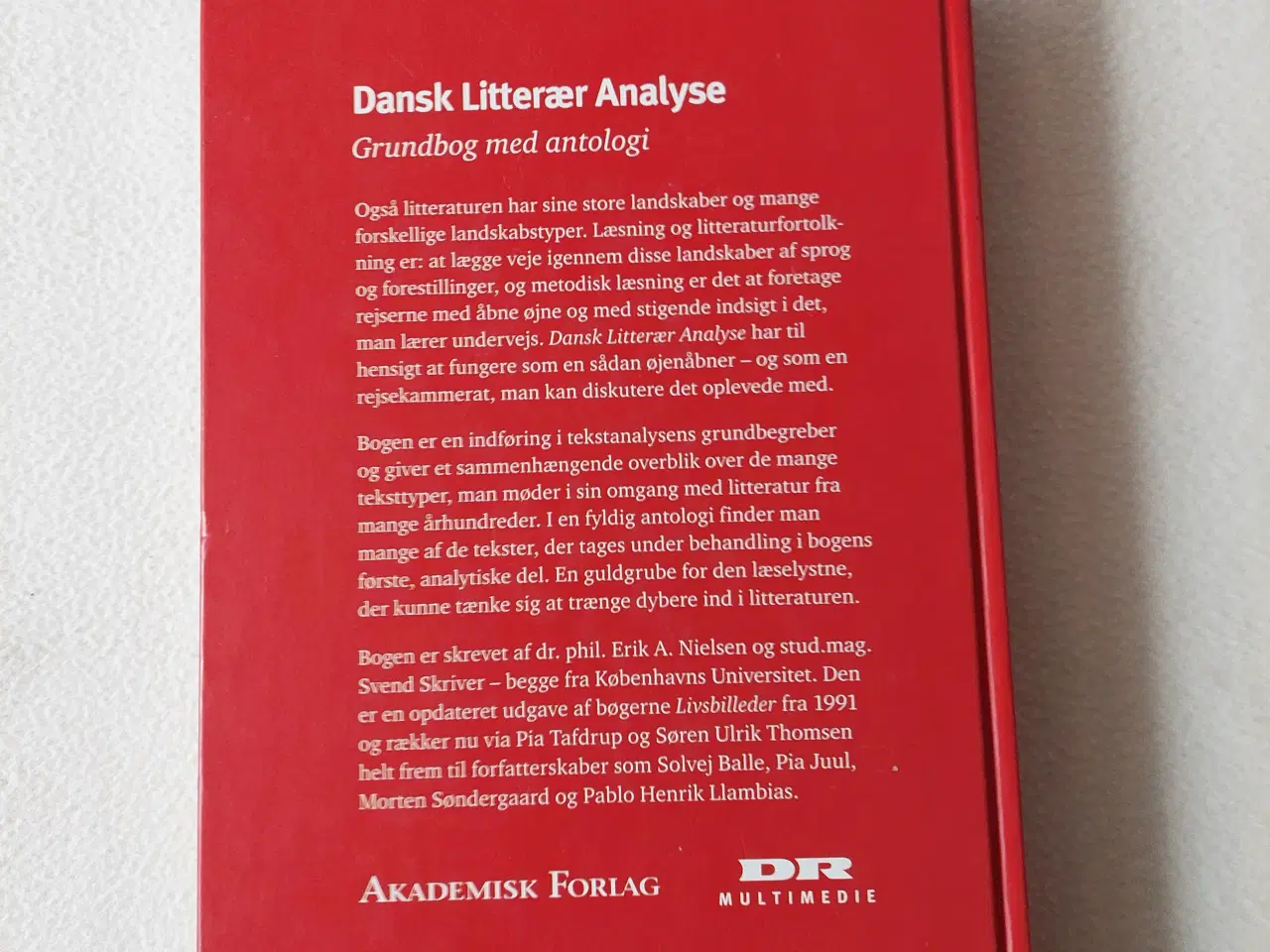 Billede 2 - Dansk Litterær Analyse
