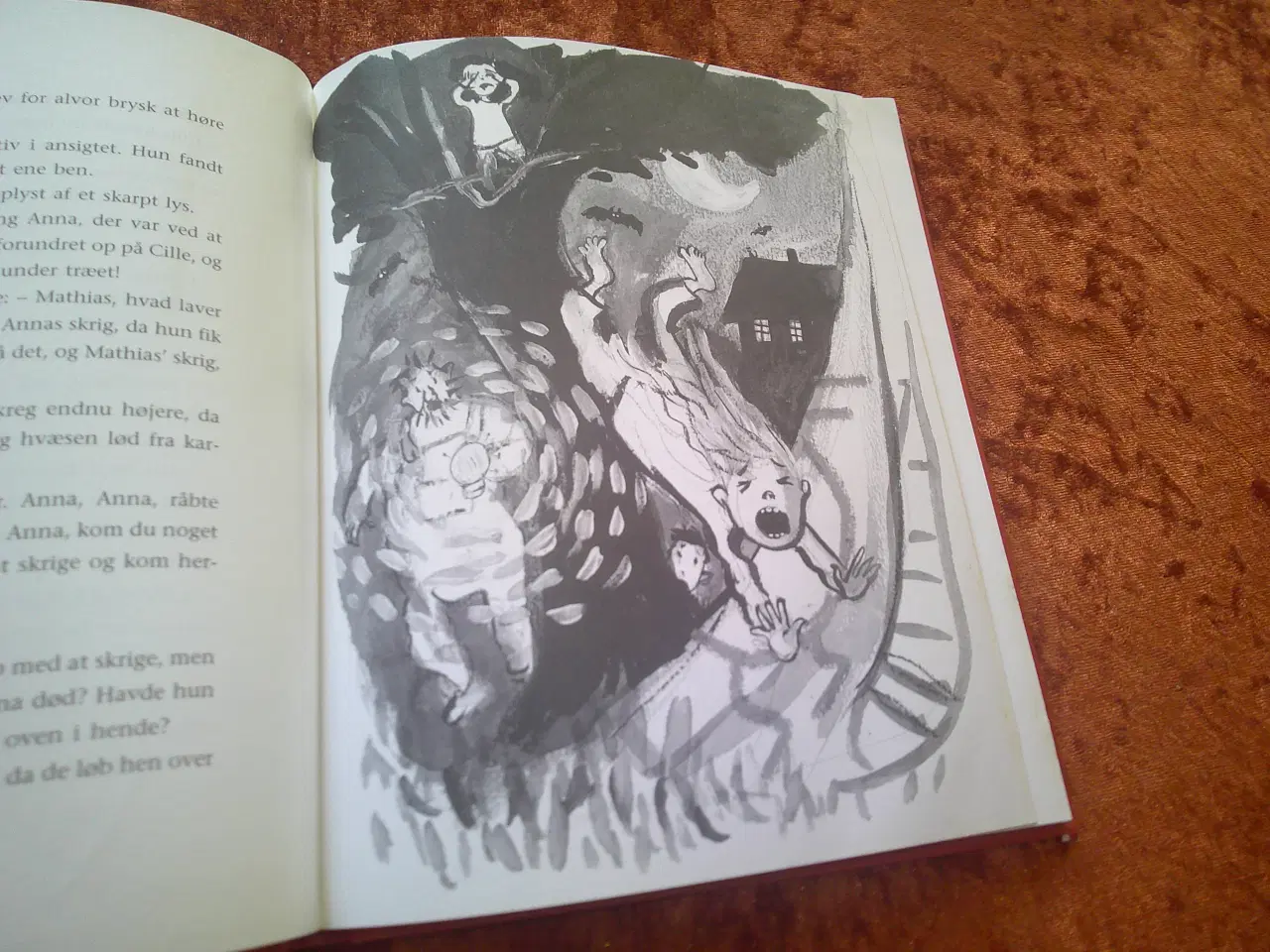 Billede 3 - Cille og Annas hemmeligheder, Else Marie Pedersen