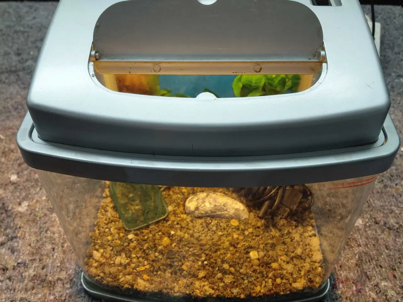 Billede 5 - Akvarier 20L 