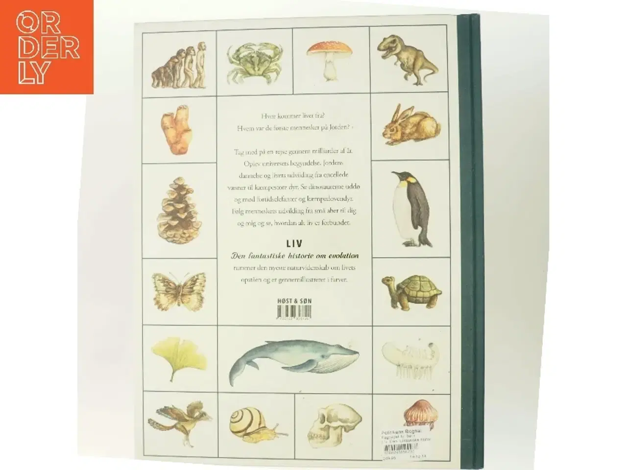 Billede 3 - NY Liv - den fantastiske historie om evolution (Bog)