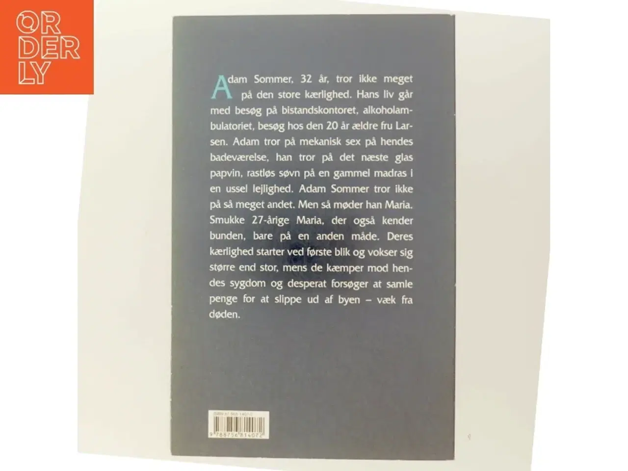 Billede 3 - Sommers vinter : roman af Sven Assels (Bog)