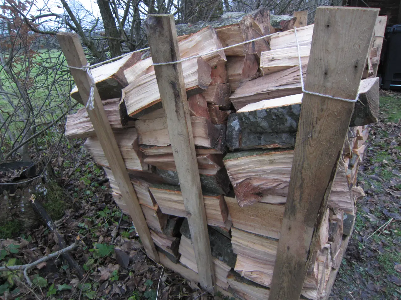 Billede 2 - Bøgebrænde 1 rm.