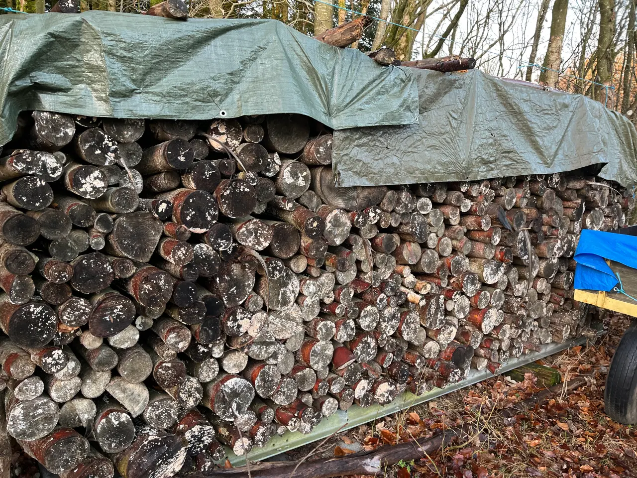 Billede 3 - brænde meterstykker