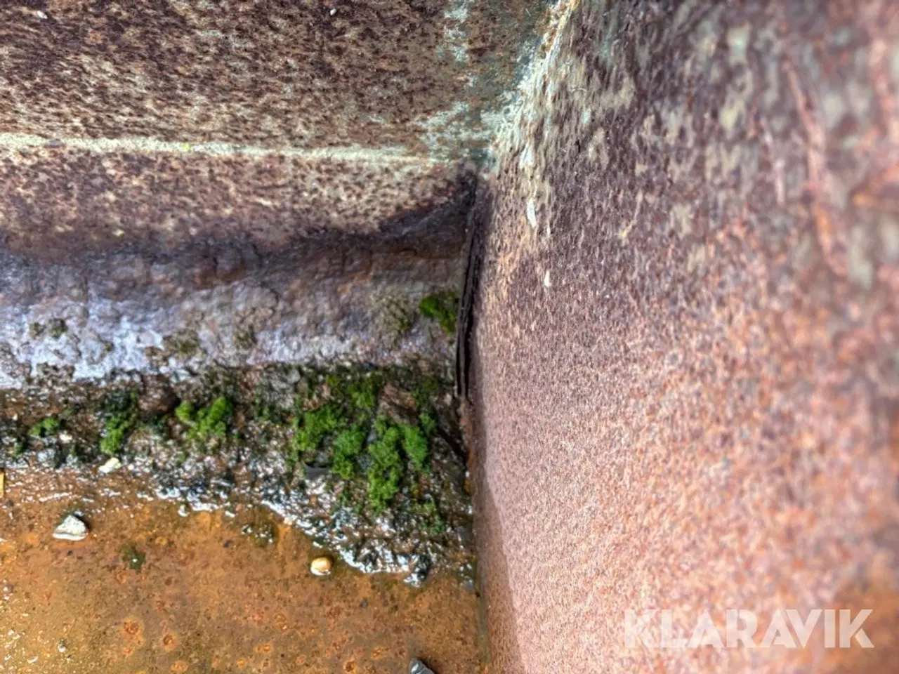 Billede 11 - Skovl Hans Damgaard