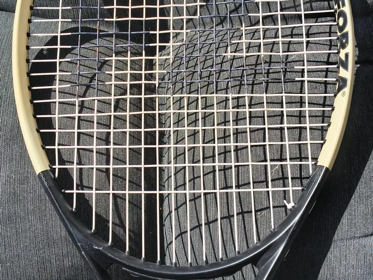 Billede 2 - FORZA TI CONTROL 11, TITANIUM, STR. SL2 FLOT STAND