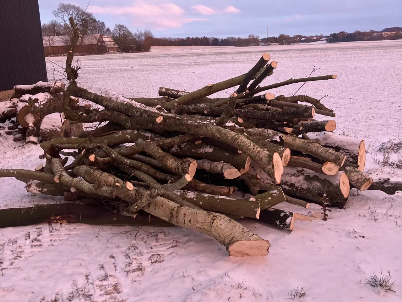 Billede 2 - Brænde ask, eg, el og birk