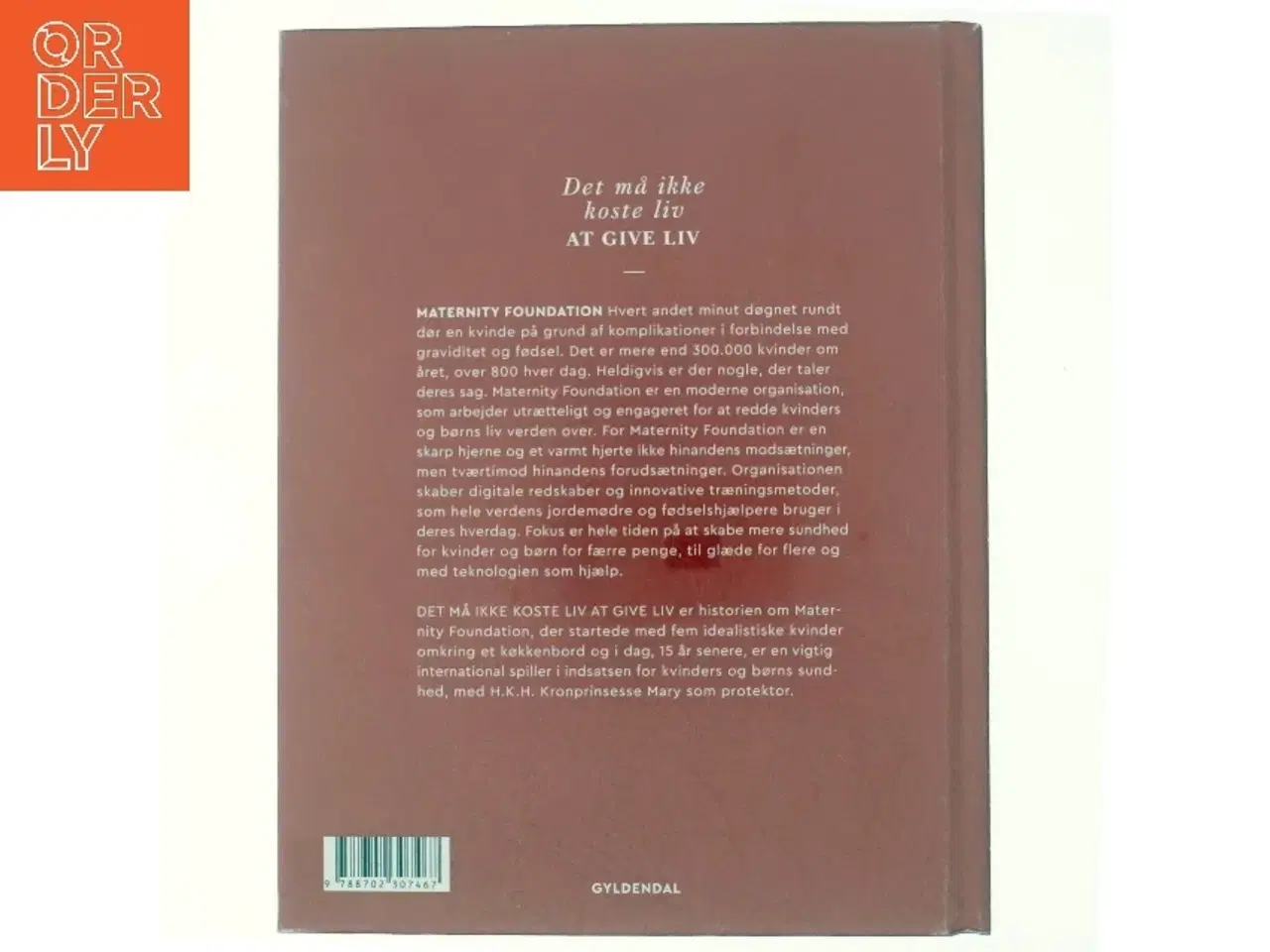 Billede 3 - Det må ikke koste liv at give liv : Maternity Foundation - fra lille dansk NGO til global digital frontløber i kamp for kvinders sundhed af