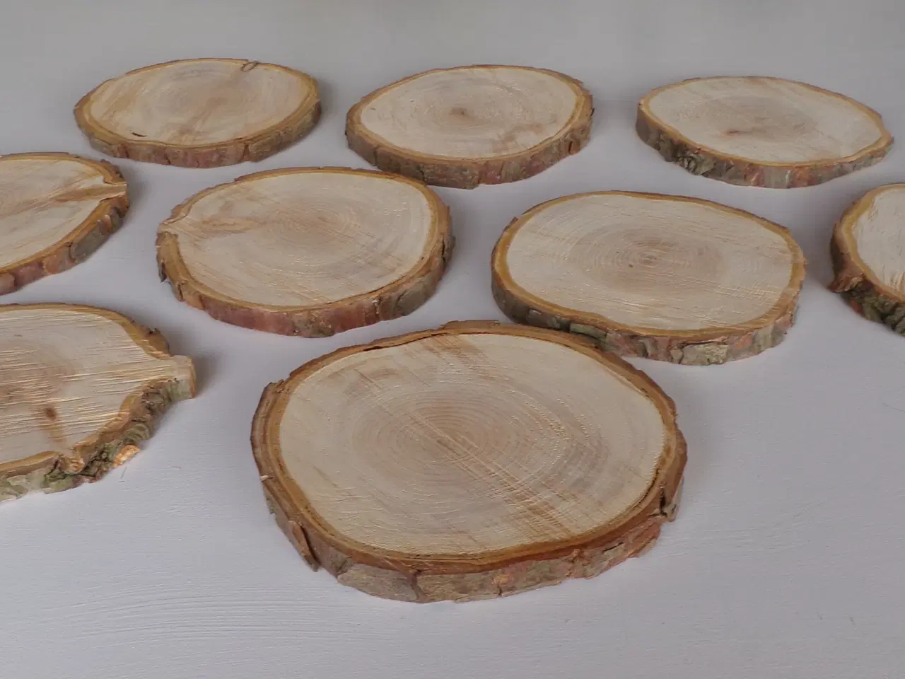 Billede 2 - NYE Thuja Træskiver 18-21 cm