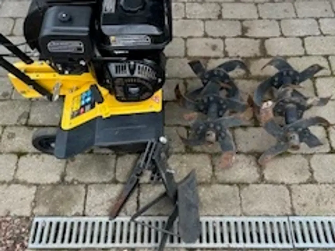 Billede 3 - Velholdt Texas Lilli 534