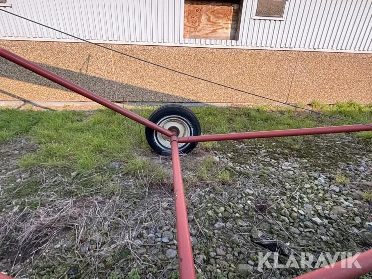 Billede 11 - Kornsnegl Hutchinson