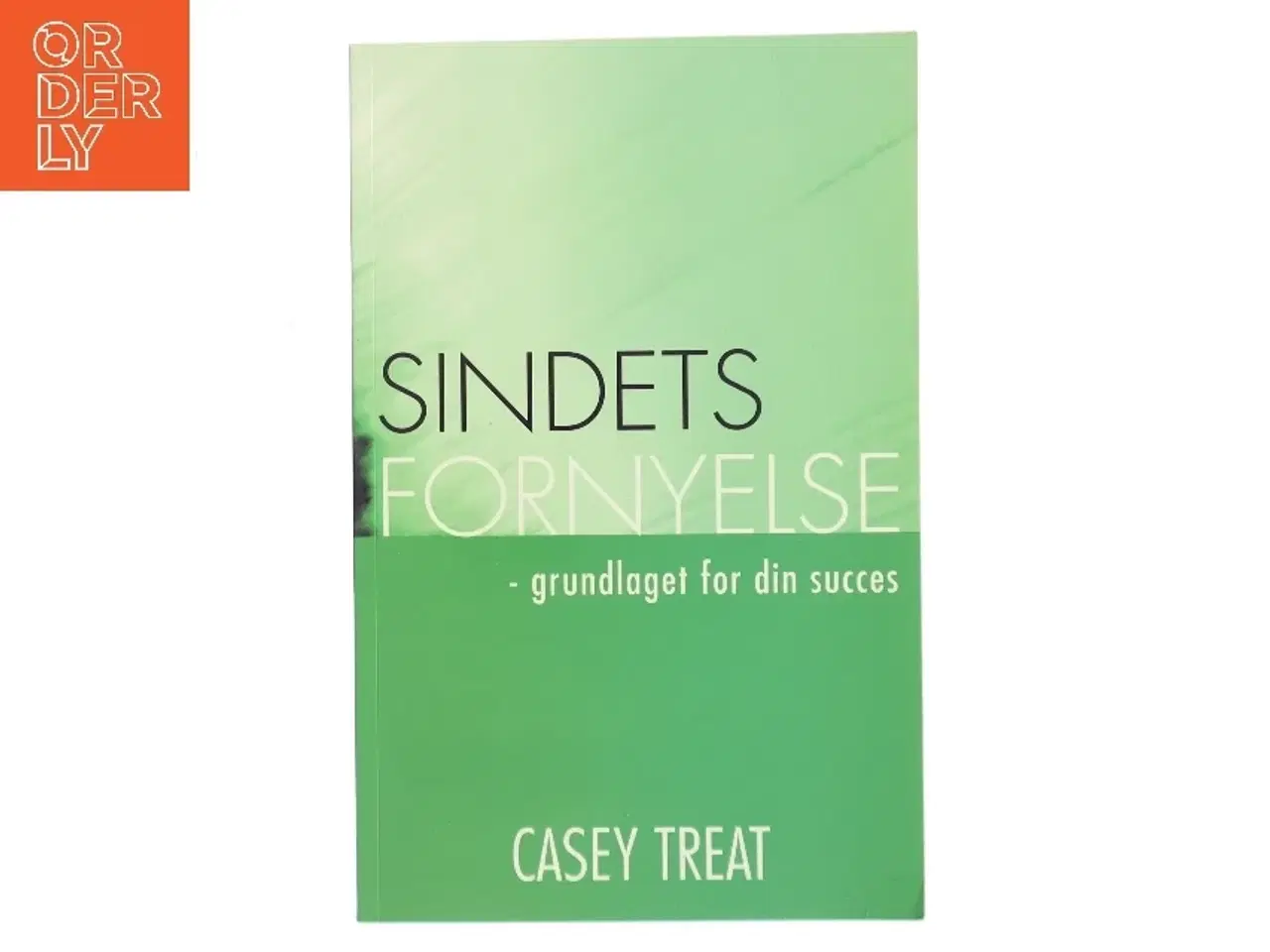 Billede 1 - Sindets fornyelse : grundlaget for din succes af Casey Treat (Bog)