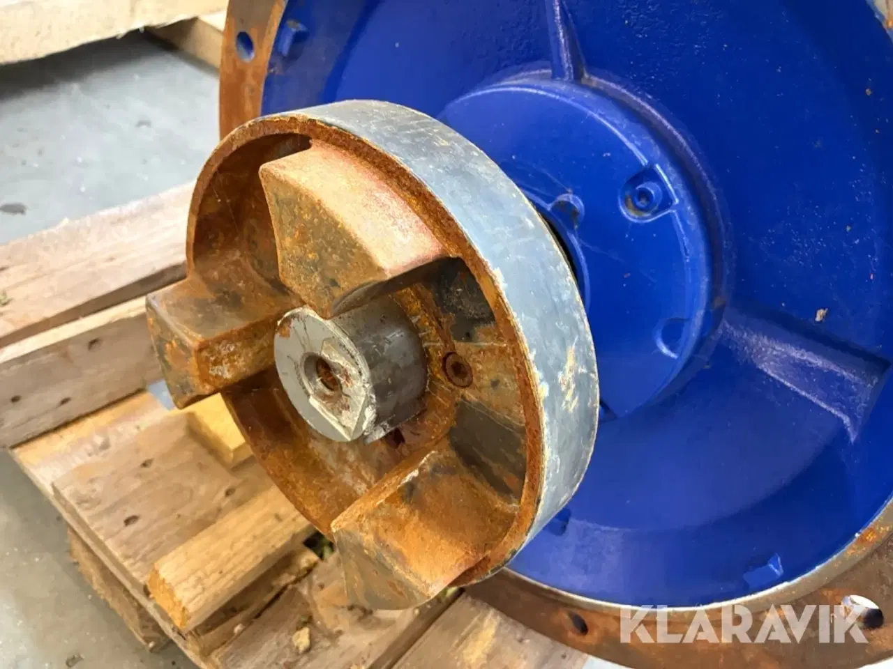 Billede 12 - Motore Lönne - 2 styks