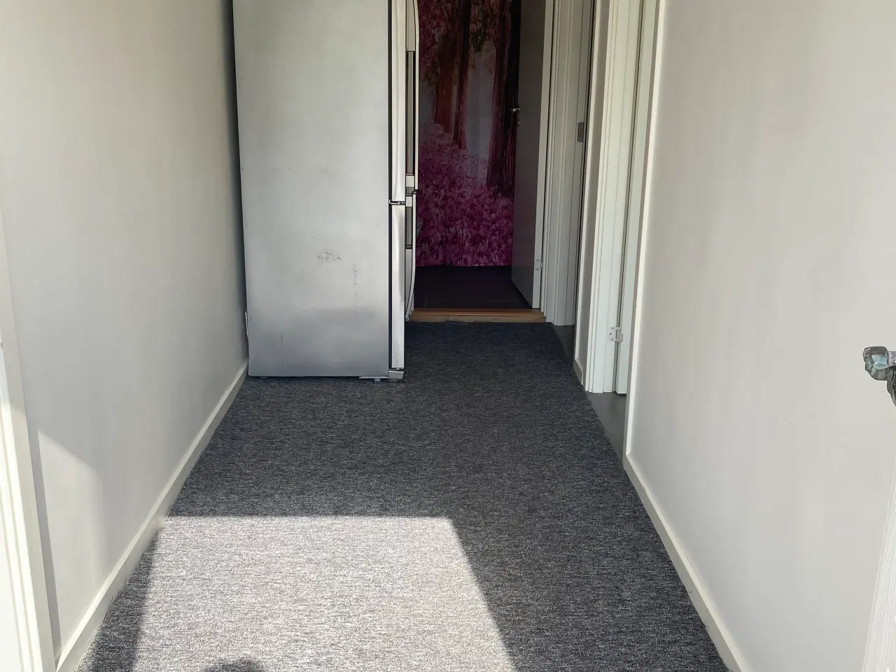 Billede 2 - Odenses hyggeligste kolonihave til salg 🌿