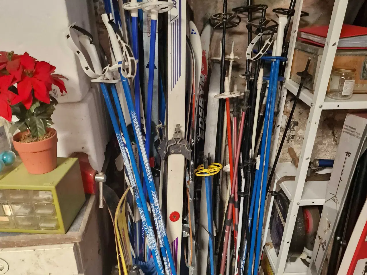 Billede 2 - Langrendsski