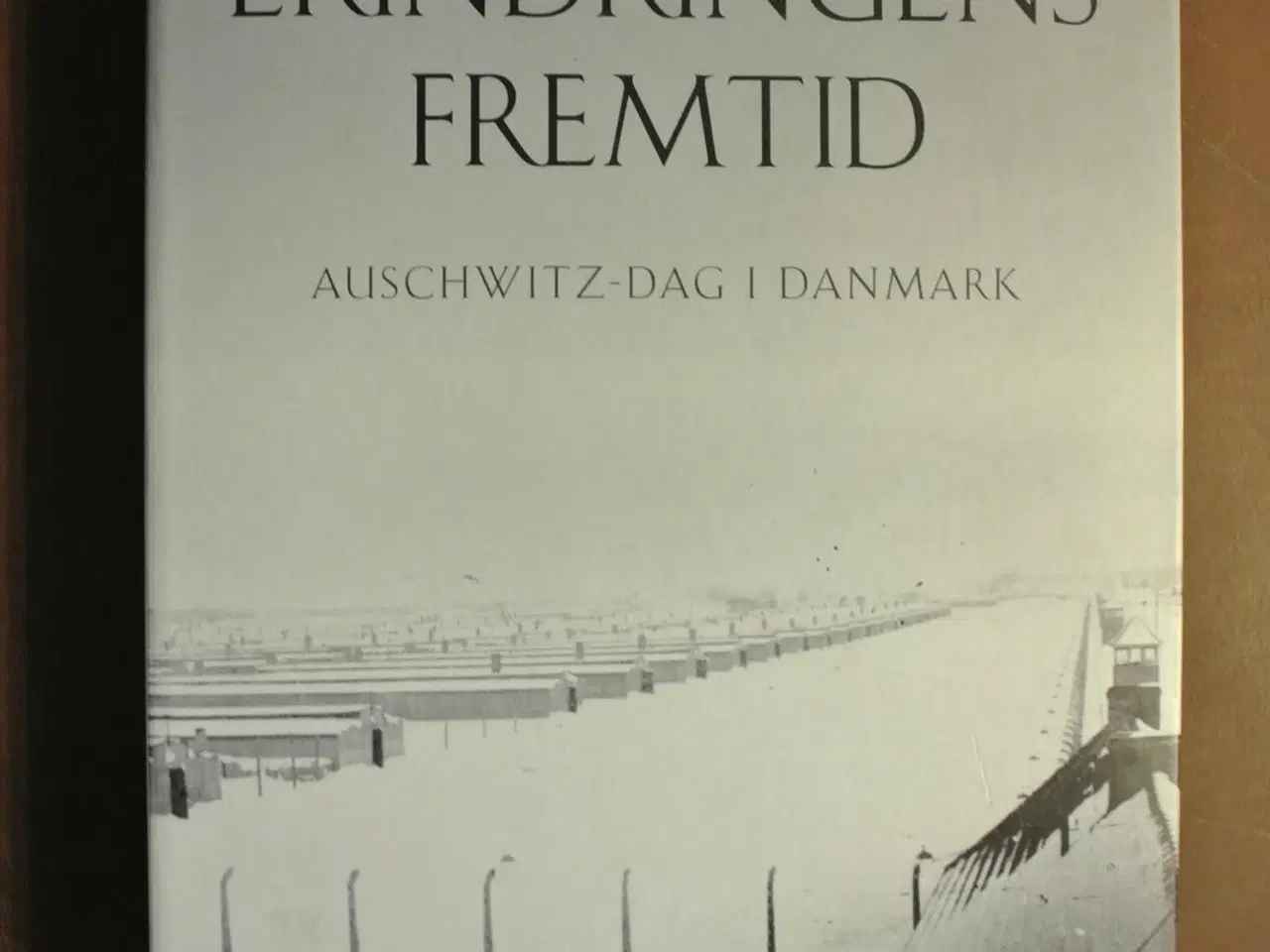 Billede 1 - erindringens fremtid - auschwitz-dag i danmark, re