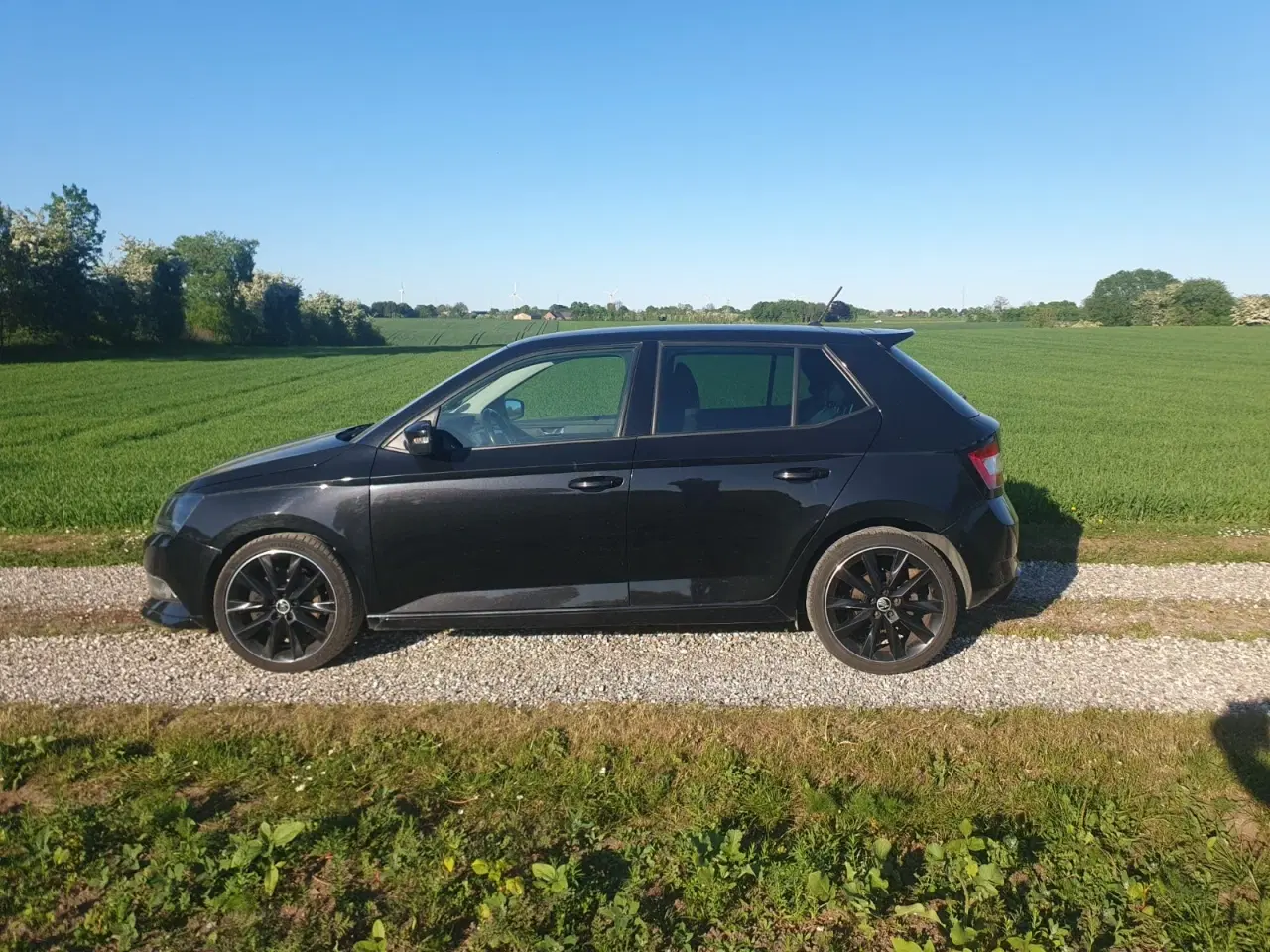 Billede 13 - Skoda Fabia 1,2 TSi 110 Black Edition