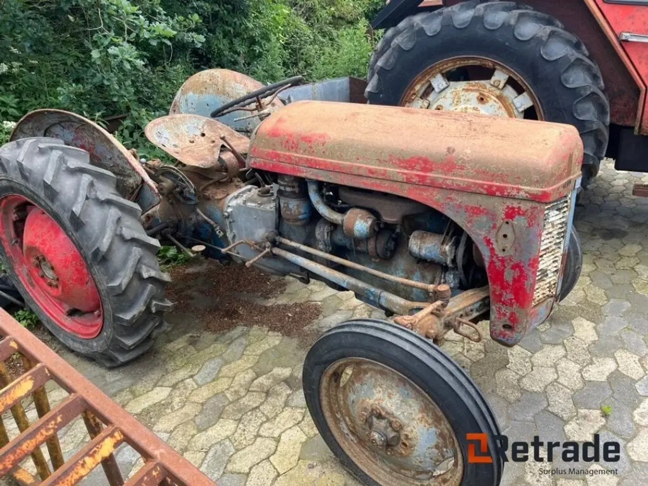 Billede 4 - Massey Ferguson Oldtimer