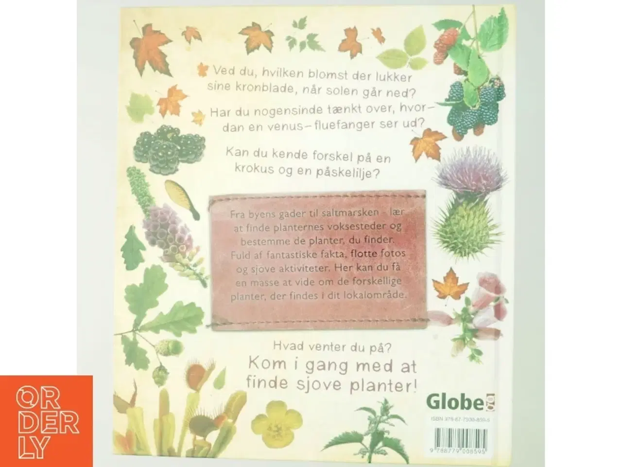 Billede 3 - Tæt på naturen : Planter af Terry Jennings (Bog)