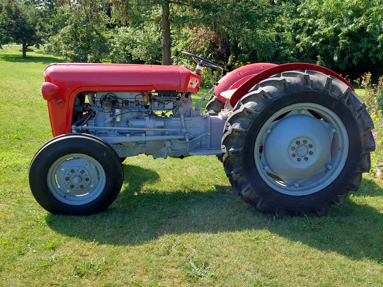 Billede 5 - Massey Ferguson 35  (benzin)