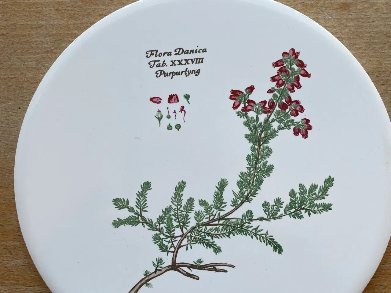 Billede 5 - Flora Danica smørbrikker