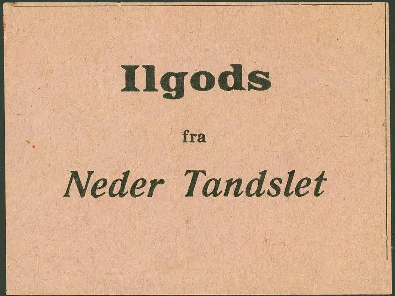 Billede 1 - Neder Tandslet. Ilgods