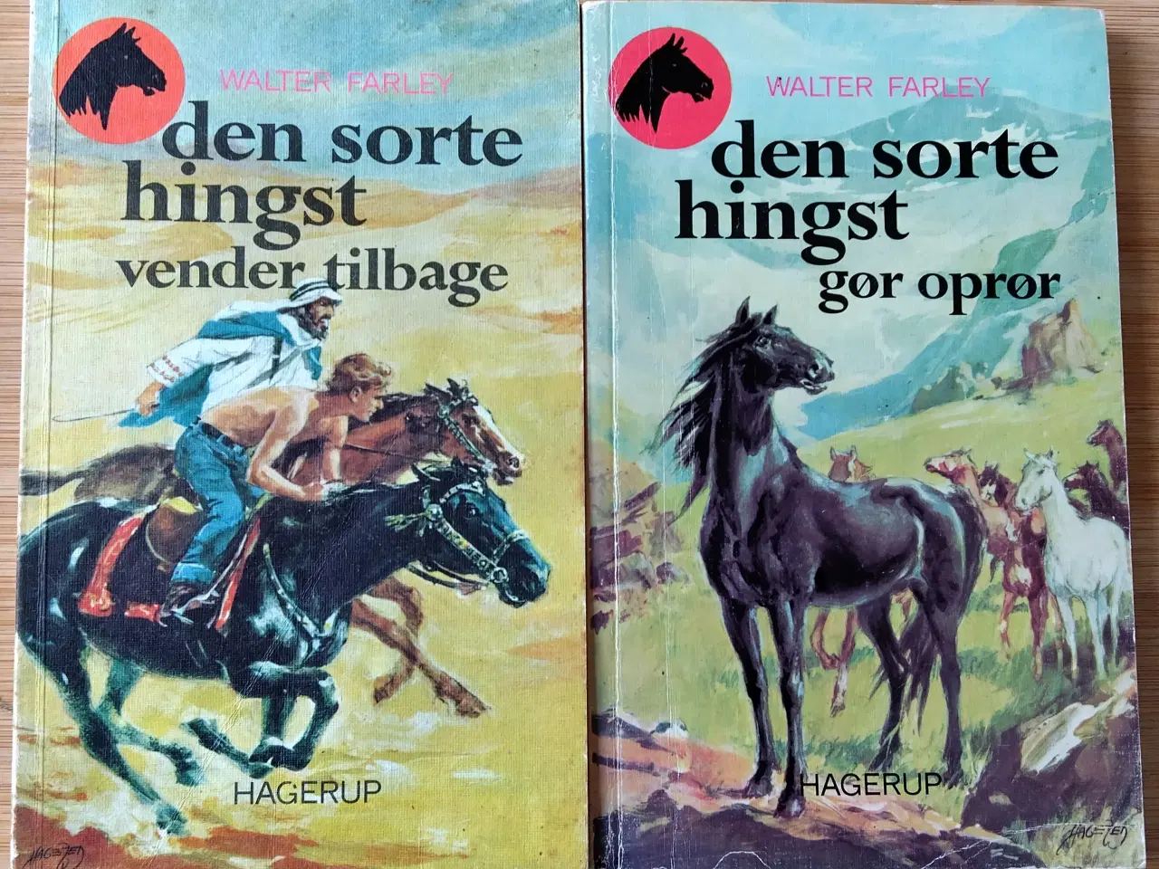 Billede 1 - Den sorte hingst