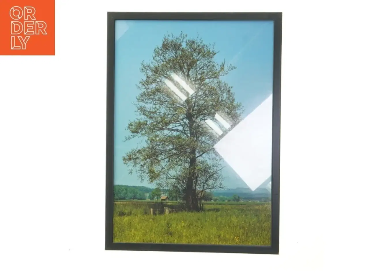 Billede 1 - Træ foto i ramme fra Posterland (str. 30x42 cm)