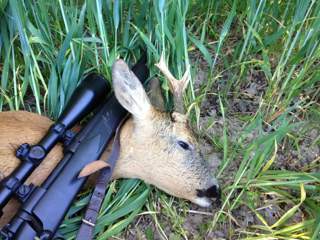 Billede 3 - Riffelkikkert