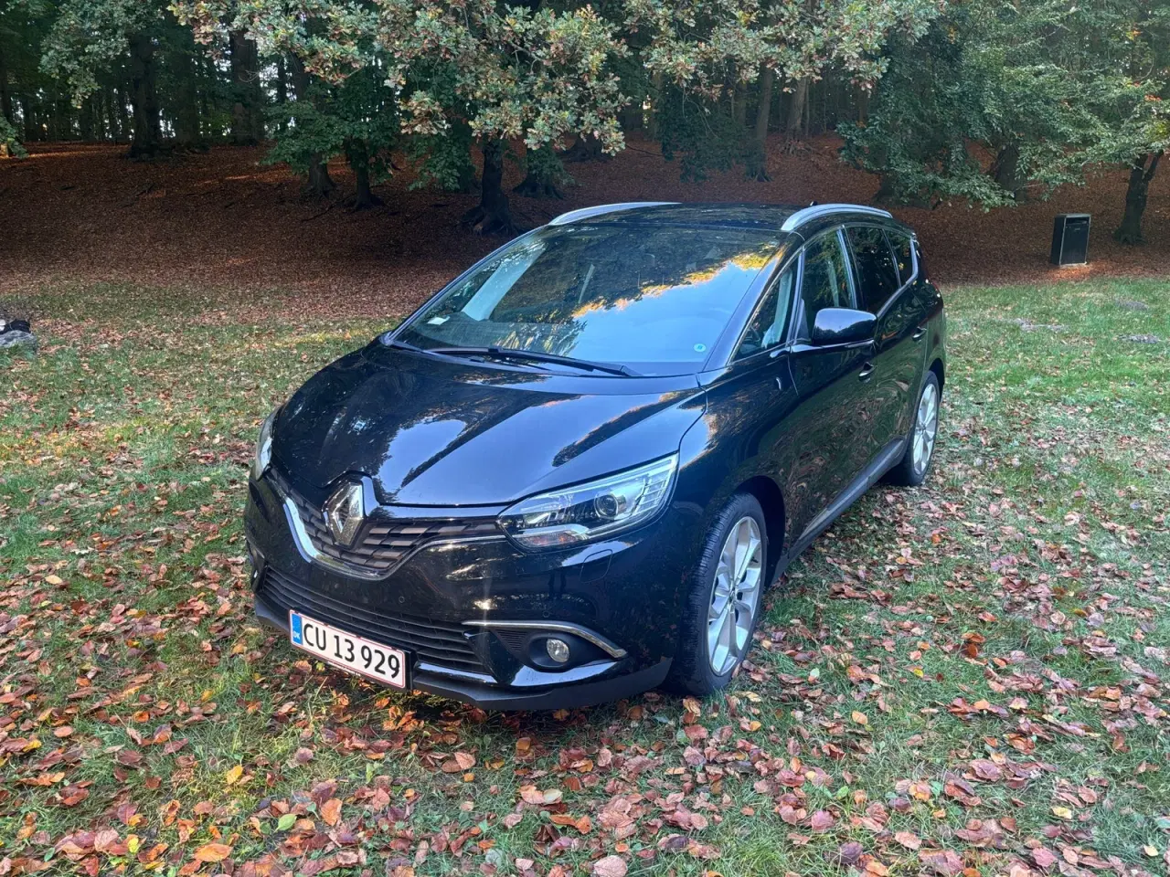 Billede 1 - Renault Grand Scenic IV 1,3 TCe 140 Zen 7prs