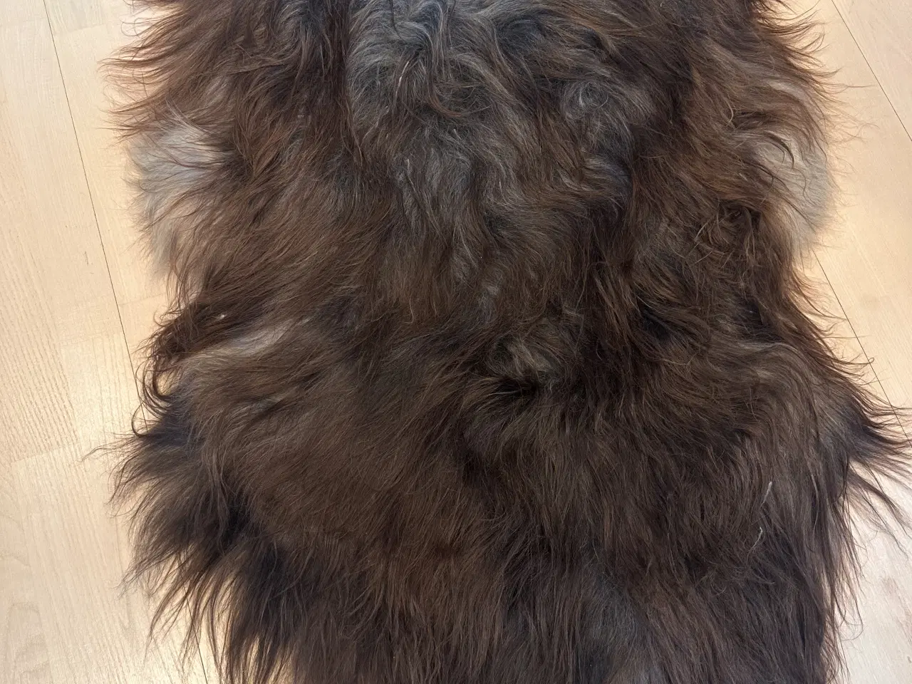 Billede 4 - helt nyt langhåret lammeskind 