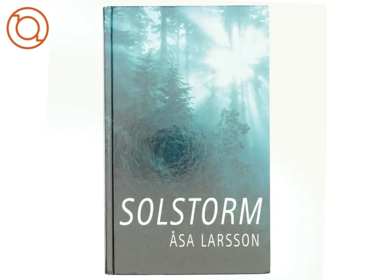 Billede 1 - Solstorm af Åsa Larsson (Bog)