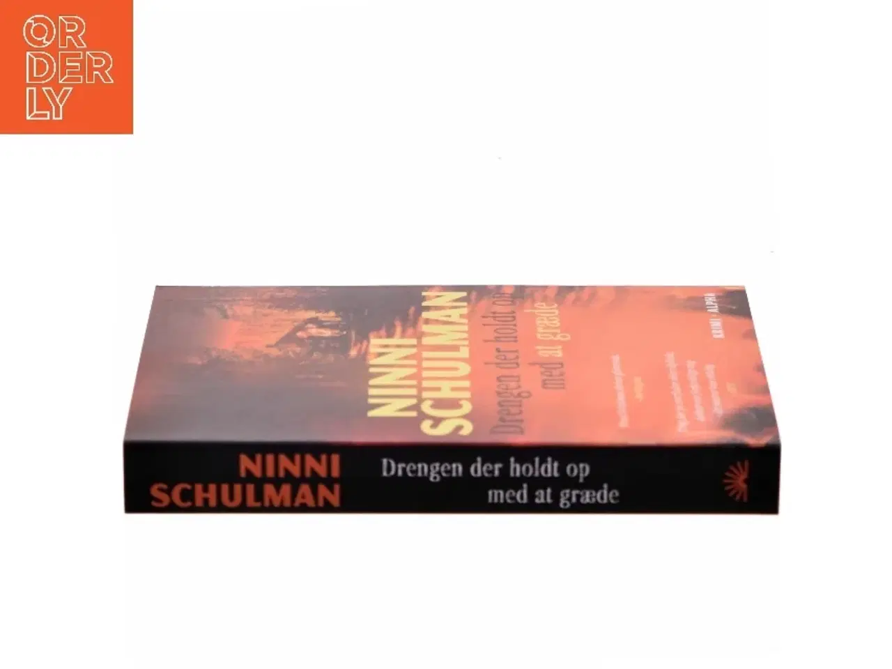 Billede 2 - Drengen der holdt op med at græde af Ninni Schulman (Bog)