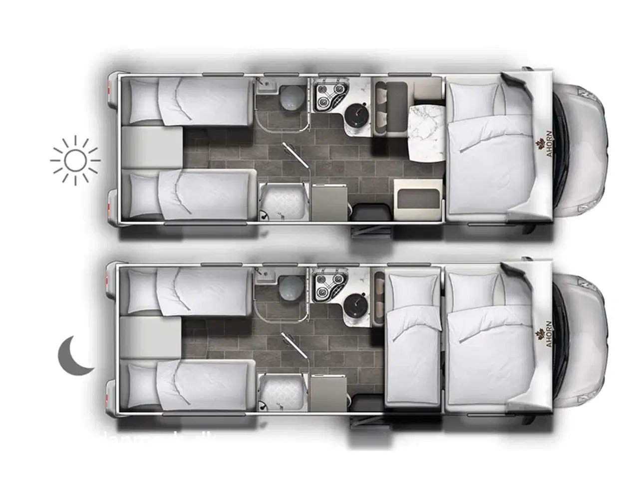 Billede 2 - 2023 - Ahorn Canada AE