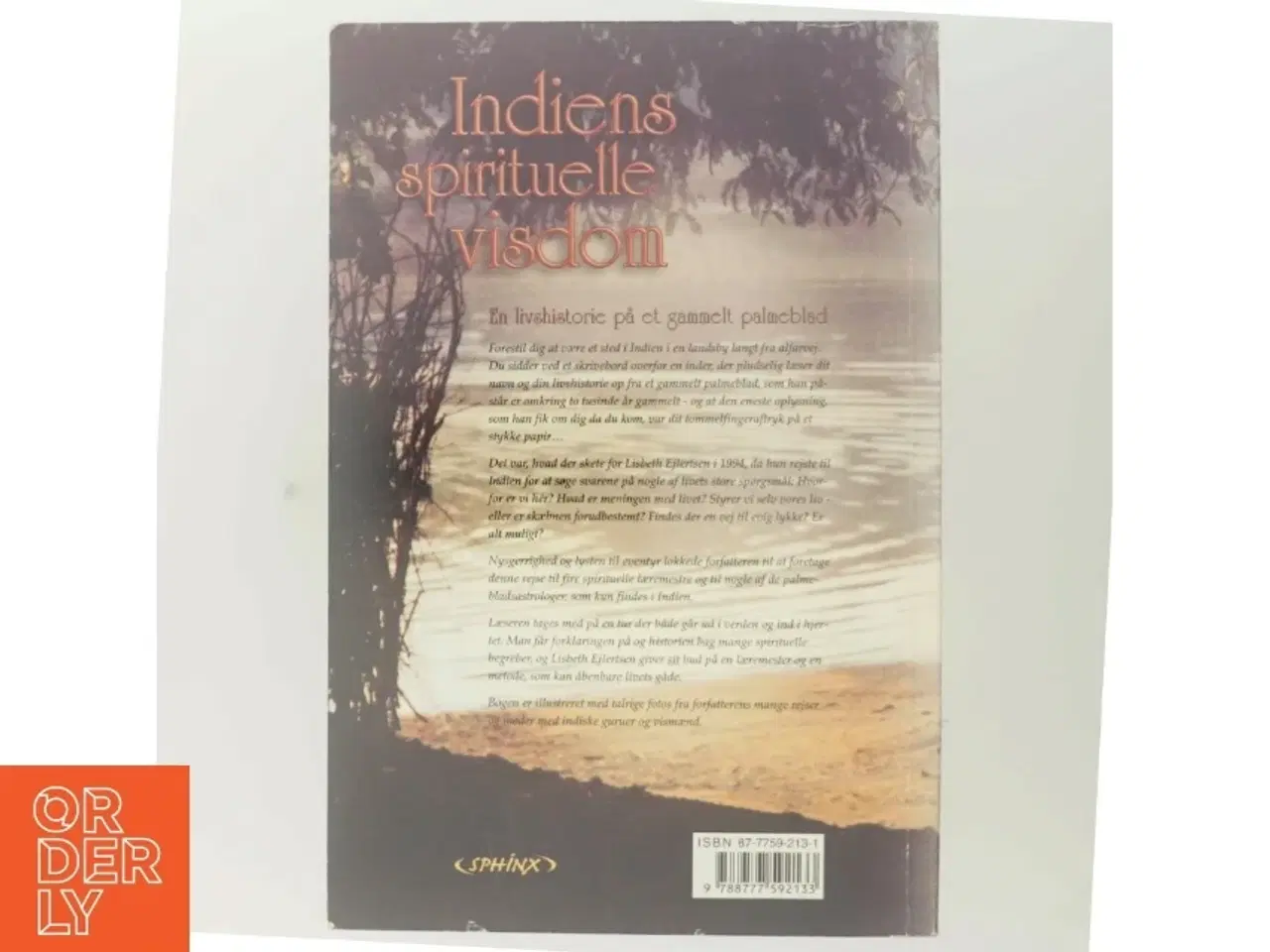 Billede 3 - Indiens spirituelle visdom. Nyt bind 1, Om at søge efter lykken og sandheden om livet hos indiske guruer og palmebladsastrologer af Lisbeth Ejler